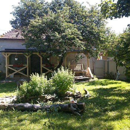 Villa Svalyavа Svalyava Exterior photo